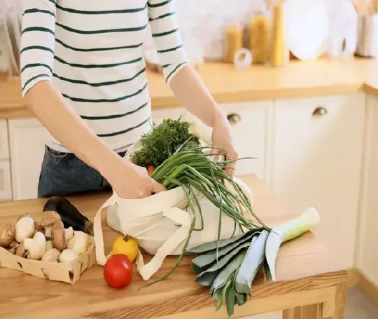 Curso Online Nutrición Vegetariana Barato