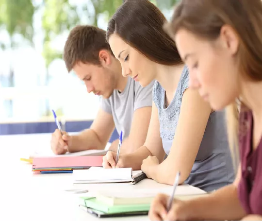 Máster online en Desarrollo Académico y Profesional Barato